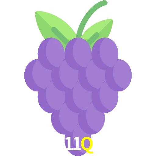 11Q